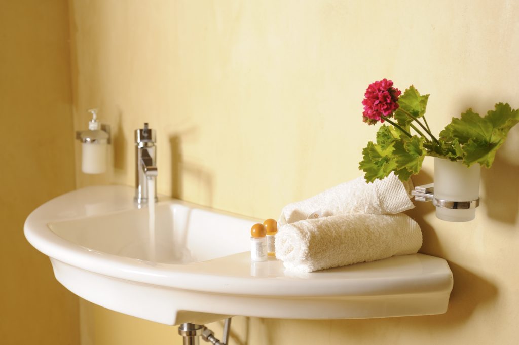 Flowers in the bathroom